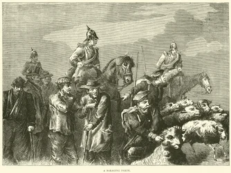 A foraging party