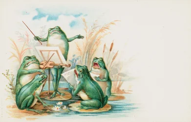 A Group of Musical Frogs