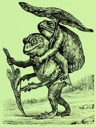 A kind husband, illustration from Coles Funny Picture Book