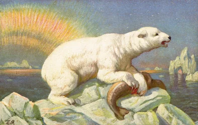 A Polar Bear Stands Over the Body of a Fish on a Rock