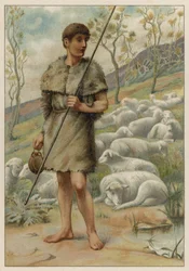 Abel and His Sheep