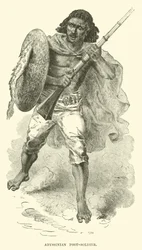 Abyssinian Foot-Soldier