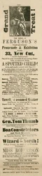 Advert for Ferguson