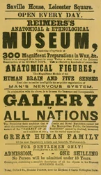 Advert for Reimers
