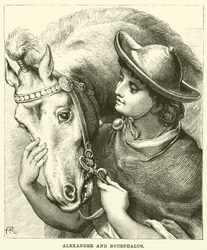 Alexander and Bucephalus
