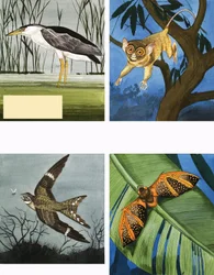 All Sorts of Night Creatures
