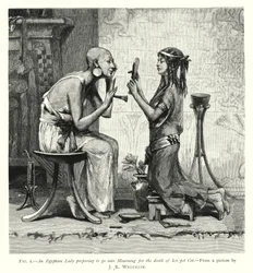 An Egyptian Lady Preparing to Go into Mourning for the Death of Her Pet Cat