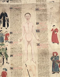 Anatomical diagram, from De arte phisicali e de cirugia by John Ardene