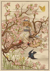 Apple Blossom