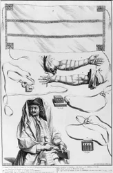 Arm, Head Tefillin and Torah boxes