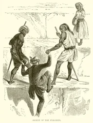 Ascent of the Pyramids