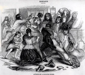 Attack on a Potato Store in Ireland