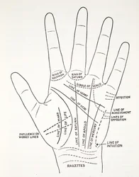 Basic Lines and Lesser Lines of the Hand