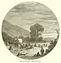 Battle-Field, Shrewsbury
