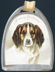 Beagle Tag