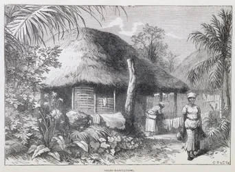 Black Habitations, from 