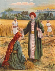 Boaz and Ruth in the Harvest Field