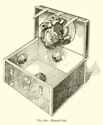Bonnet-box