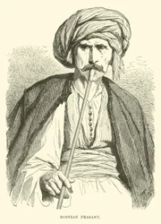 Bosnian Peasant