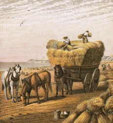 Bringing in the Harvest