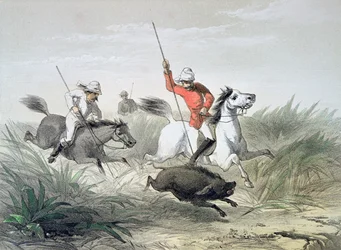 British Army Officers hunting Wild Pig in India