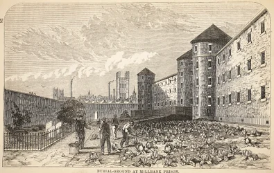 Burial-ground at Millbank Prison, illustration from The Criminal Prisons of London and Scenes from Prison Life by Henry Mayhew and John Binny, pub. 1862