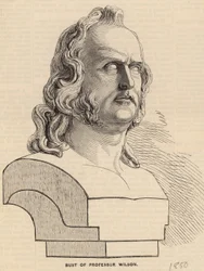 Bust of Professor Wilson