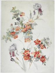 Carpet Design