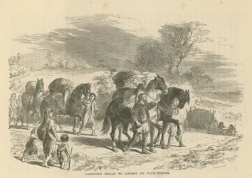 Carrying bread to London on pack horses