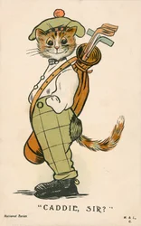 Cat, Scottish golfing caddie