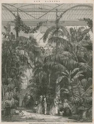 Centre of the Great Palm House at the Royal Botanic Gardens of Kew