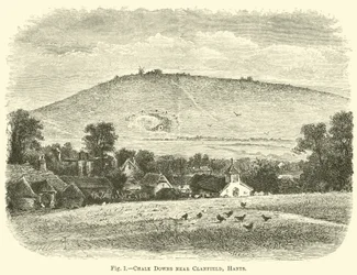 Chalk Downs near Clanfield, Hants