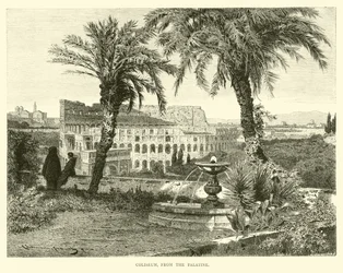 Coliseum, from the Palatine
