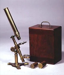 Compound monocular microscope, made by Amadio Optician, London, c.1860