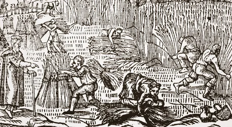Contemporary woodcut showing the harvest