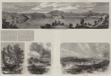 Coromandel Gold-Diggings, New Zealand