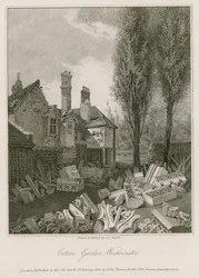 Cotton Garden in Westminster