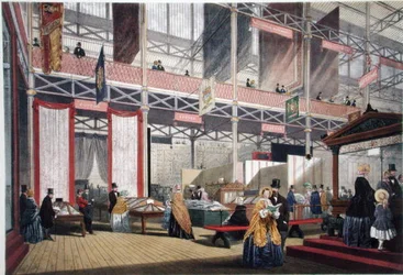 Cotton, from Dickinson