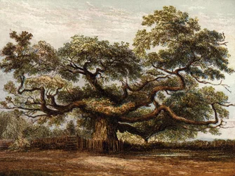 Crouch Oak, Addlestone