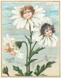 Daisies with Faces!
