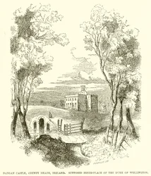 Dangan Castle, County Meath, Ireland. Supposed Birth-Place of the Duke of Wellington