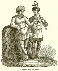 Danish Warriors