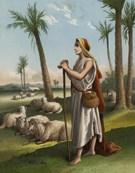 David as a Shepherd