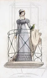 Day dress, fashion plate from Ackermann