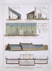 Design for Two Peacheries and a Greenhouse, 1806