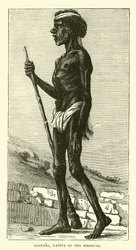Djangal, Native of the Sirgouja