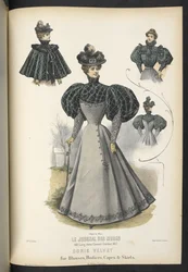 Doris velvet, For blouses, bodices, capes & skirts, Plate 2250, Doris velvet for blouses, bodices, capes & skirts, The Dressmaker and Milliner, 1895