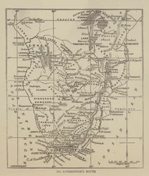 Dr Livingstone