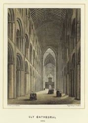 Ely Cathedral, Nave