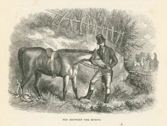 Fed Between the Bursts